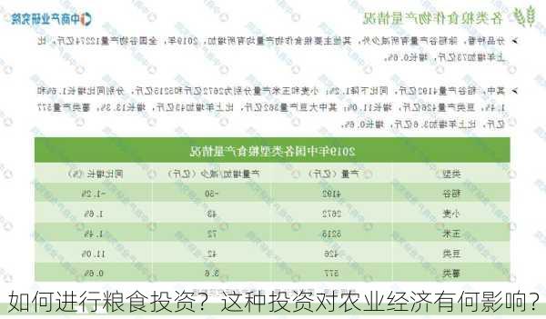 如何进行粮食投资？这种投资对农业经济有何影响？