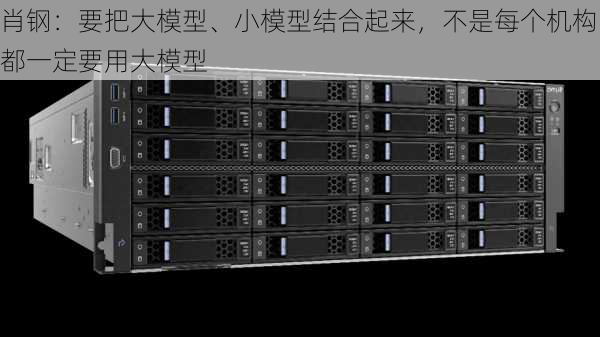 肖钢：要把大模型、小模型结合起来，不是每个机构都一定要用大模型