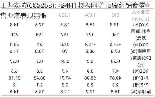 王力安防(605268)：24H1收入同增15% 经销商零售渠道表现亮眼