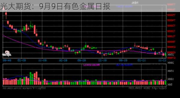 光大期货：9月9日有色金属日报