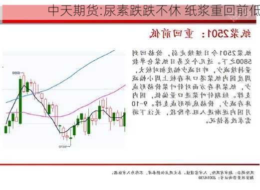 中天期货:尿素跌跌不休 纸浆重回前低