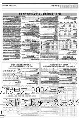 皖能电力:2024年第二次临时股东大会决议公告