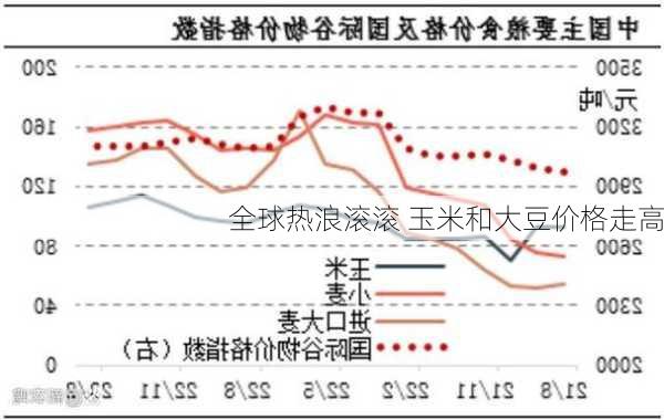 全球热浪滚滚 玉米和大豆价格走高