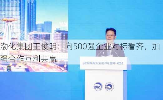 渤化集团王俊明：向500强企业对标看齐，加强合作互利共赢