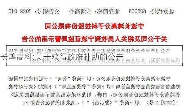 长鸿高科:关于获得政府补助的公告