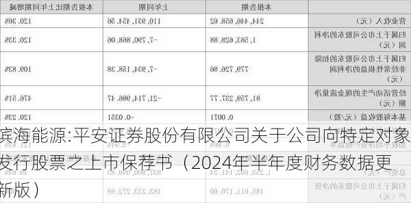 滨海能源:平安证券股份有限公司关于公司向特定对象发行股票之上市保荐书（2024年半年度财务数据更新版）