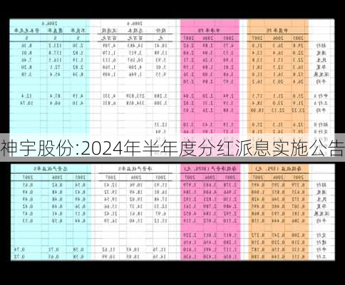 神宇股份:2024年半年度分红派息实施公告