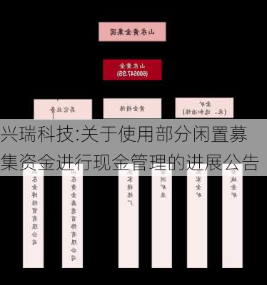 兴瑞科技:关于使用部分闲置募集资金进行现金管理的进展公告