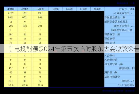 电投能源:2024年第五次临时股东大会决议公告