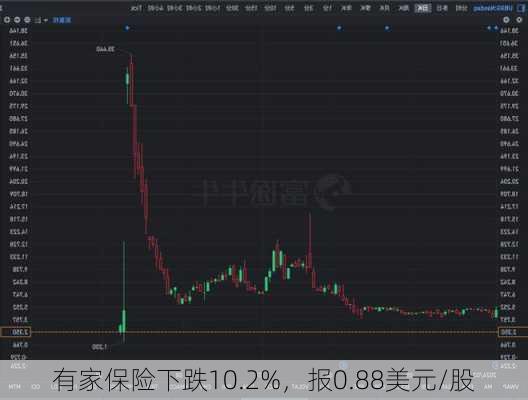 有家保险下跌10.2%，报0.88美元/股