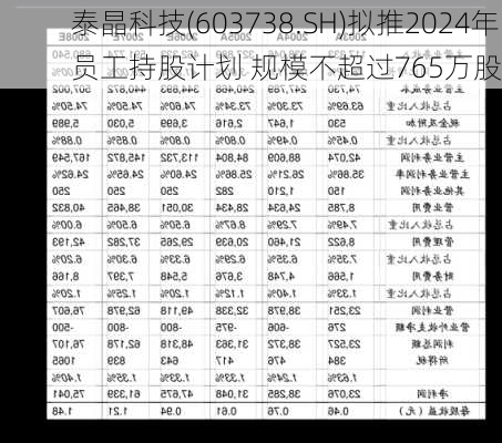 泰晶科技(603738.SH)拟推2024年员工持股计划 规模不超过765万股