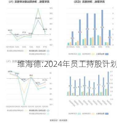 维海德:2024年员工持股计划