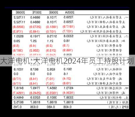 大洋电机:大洋电机2024年员工持股计划