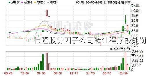 伟隆股份因子公司转让程序被处罚