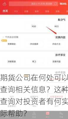 期货公司在何处可以查询相关信息？这种查询对投资者有何实际帮助？