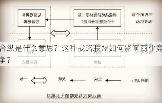 合纵是什么意思？这种战略联盟如何影响商业竞争？