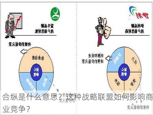 合纵是什么意思？这种战略联盟如何影响商业竞争？