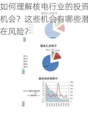 如何理解核电行业的投资机会？这些机会有哪些潜在风险？