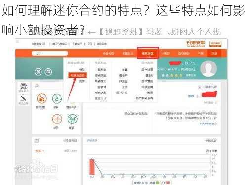 如何理解迷你合约的特点？这些特点如何影响小额投资者？
