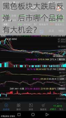 黑色板块大跌后反弹，后市哪个品种有大机会？