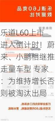 乐道L60上市进入倒计时！蔚来、小鹏相继推走量车型 专家：为维持增长否则被淘汰出局