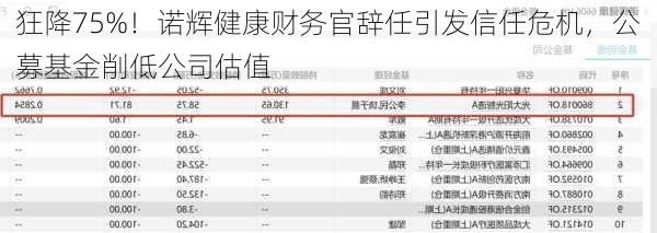 狂降75%！诺辉健康财务官辞任引发信任危机，公募基金削低公司估值