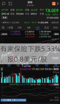 有家保险下跌5.33%，报0.8美元/股