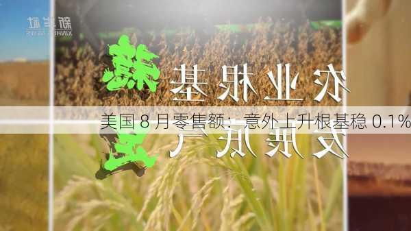 美国 8 月零售额：意外上升根基稳 0.1%