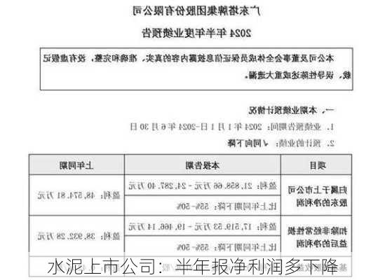 水泥上市公司：半年报净利润多下降