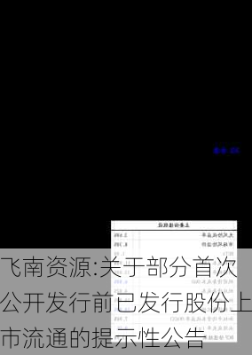 飞南资源:关于部分首次公开发行前已发行股份上市流通的提示性公告