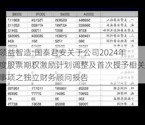 领益智造:国泰君安关于公司2024年度股票期权激励计划调整及首次授予相关事项之独立财务顾问报告