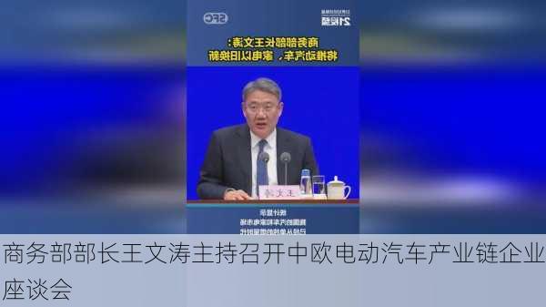 商务部部长王文涛主持召开中欧电动汽车产业链企业座谈会