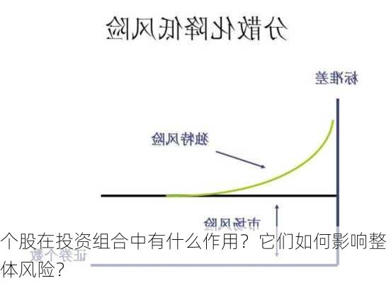 个股在投资组合中有什么作用？它们如何影响整体风险？