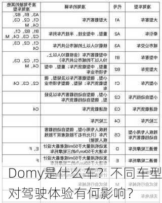 Domy是什么车？不同车型对驾驶体验有何影响？