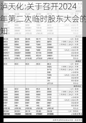 泸天化:关于召开2024年第二次临时股东大会的通知