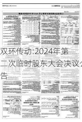 双环传动:2024年第二次临时股东大会决议公告