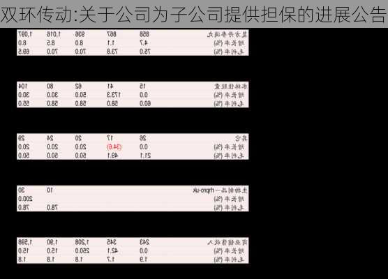 双环传动:关于公司为子公司提供担保的进展公告