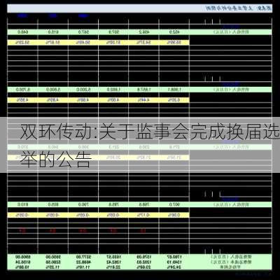 双环传动:关于监事会完成换届选举的公告