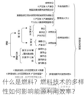 什么是燃料？燃料技术的多样性如何影响能源利用效率？