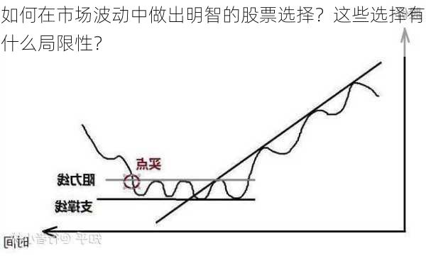 如何在市场波动中做出明智的股票选择？这些选择有什么局限性？