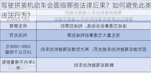 驾驶拼装机动车会面临哪些法律后果？如何避免此类违法行为？