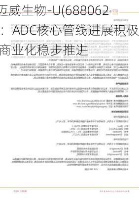 迈威生物-U(688062)：ADC核心管线进展积极 商业化稳步推进