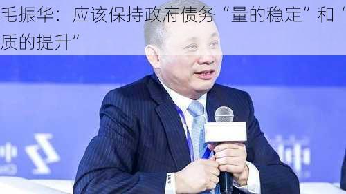 毛振华：应该保持政府债务“量的稳定”和“质的提升”