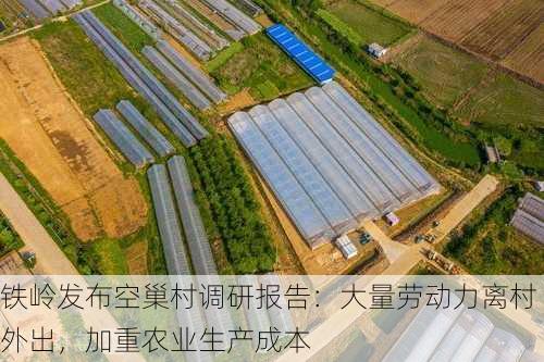 铁岭发布空巢村调研报告：大量劳动力离村外出，加重农业生产成本