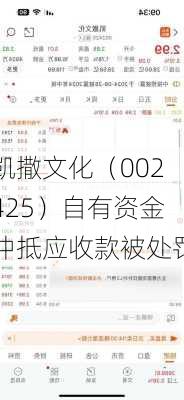 凯撒文化（002425）自有资金冲抵应收款被处罚