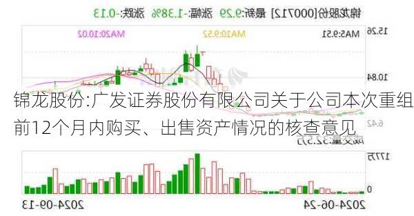 锦龙股份:广发证券股份有限公司关于公司本次重组前12个月内购买、出售资产情况的核查意见