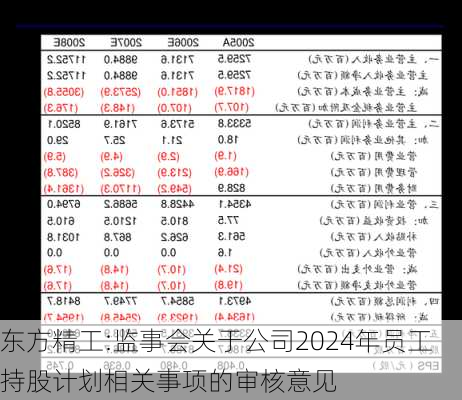 东方精工:监事会关于公司2024年员工持股计划相关事项的审核意见