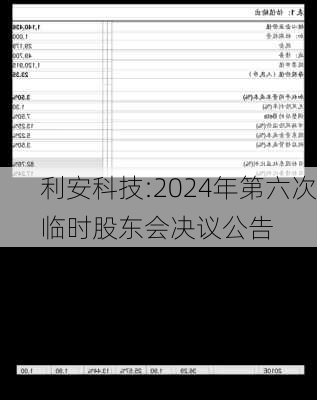 利安科技:2024年第六次临时股东会决议公告