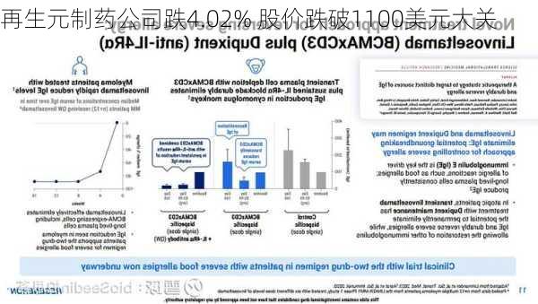 再生元制药公司跌4.02% 股价跌破1100美元大关