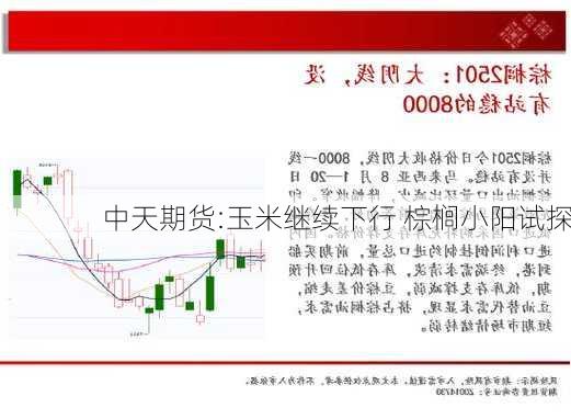 中天期货:玉米继续下行 棕榈小阳试探